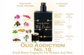 OUD ADDICTION NO 10